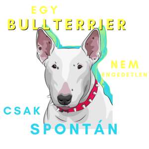 Egy bullterrier nem engedetlen csak spontán - Bullterrier humor